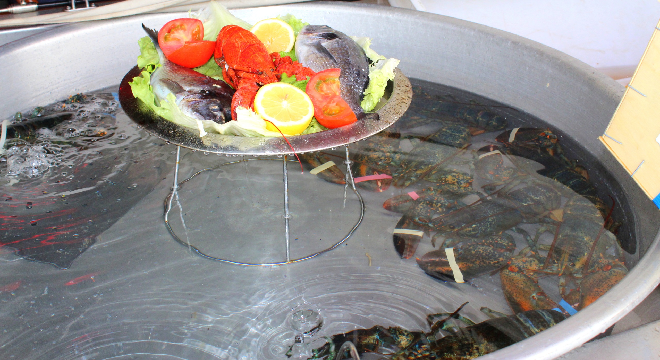 Świeże owoce morza 