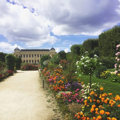 Wielka Galeria Ewolucji w Ogrodzie Botanicznym