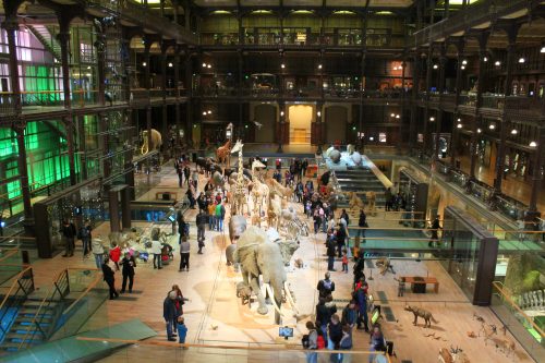 Zwierzęta z Arki Noego w Muzeum Historii Naturalnej