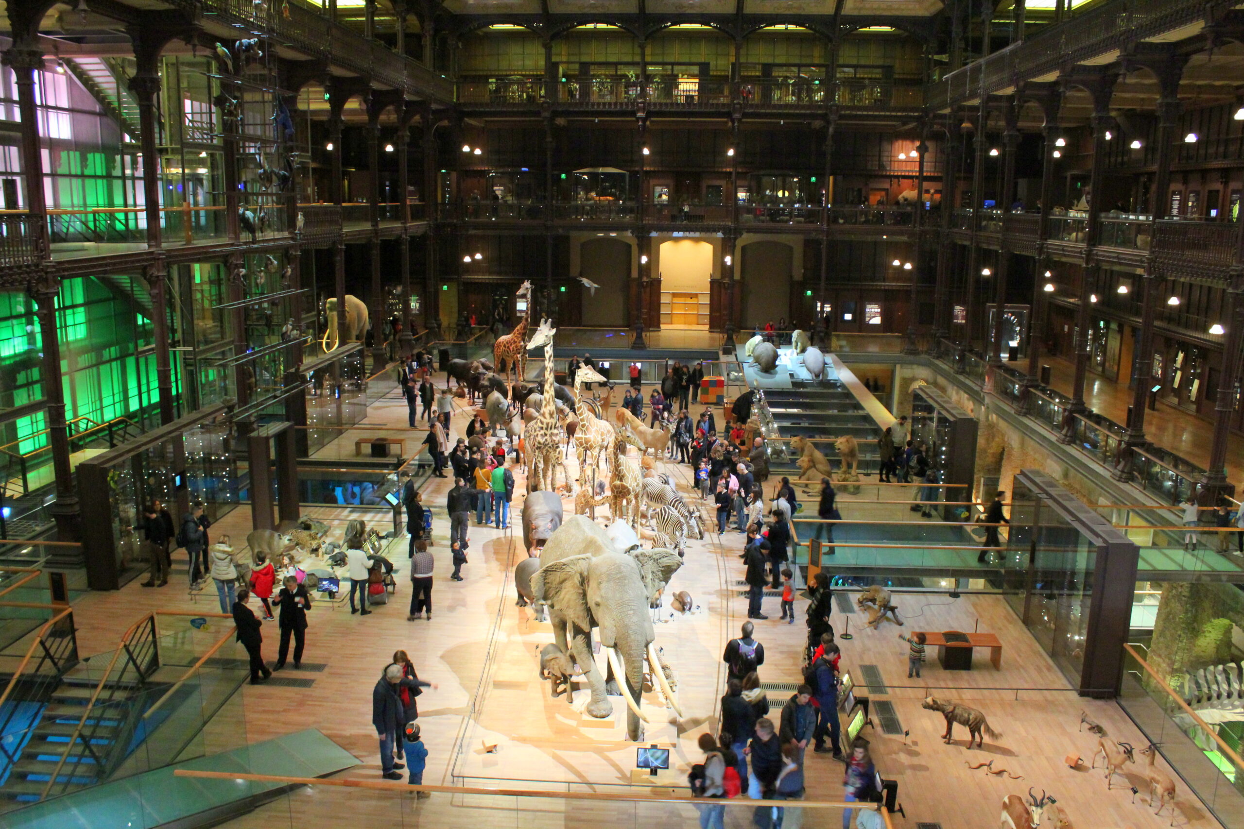 Zwierzęta z Arki Noego w Muzeum Historii Naturalnej