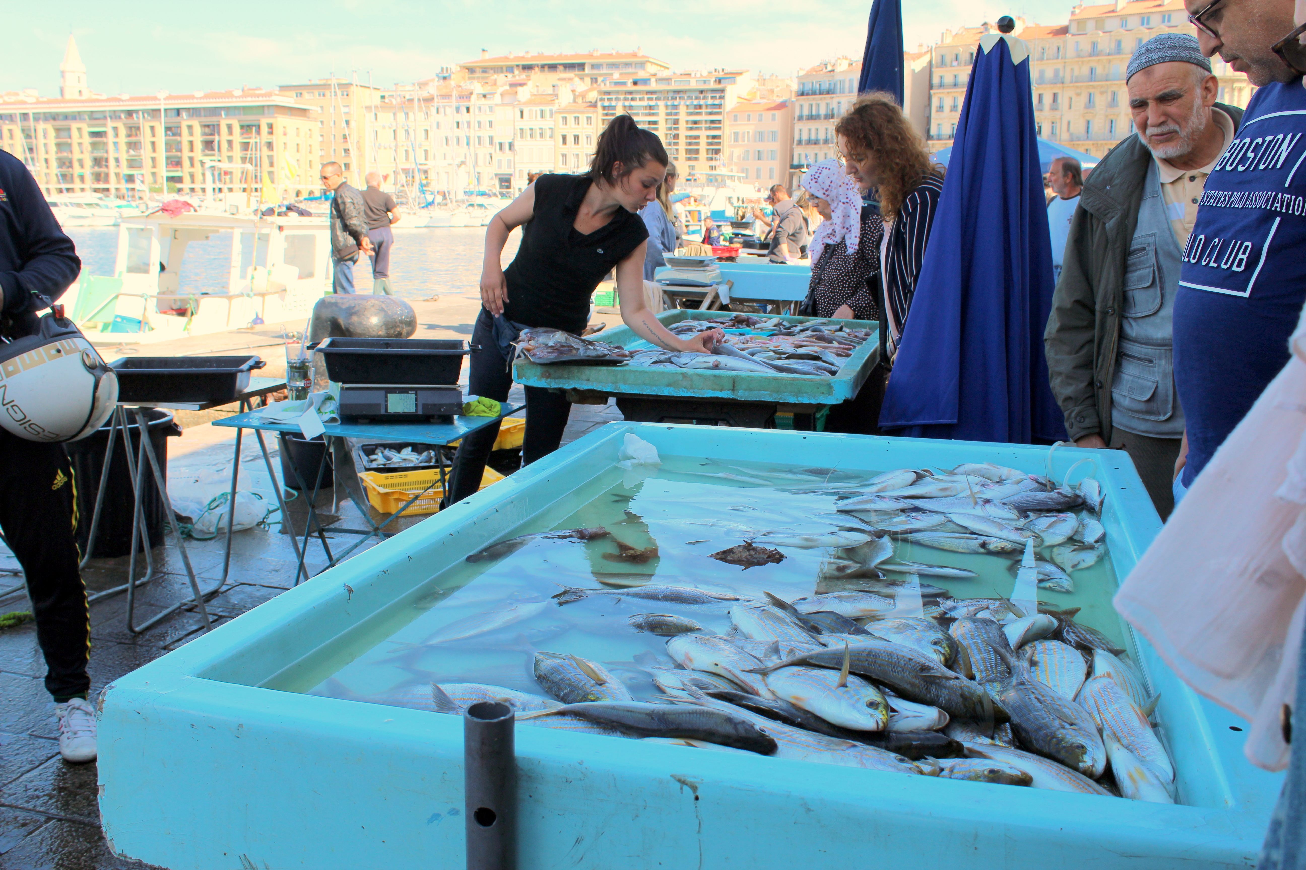 Targ rybny w starym porcie (centrum Marsylii)