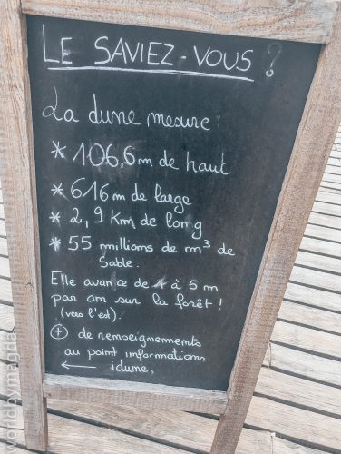 Dune du Pilat w liczbach