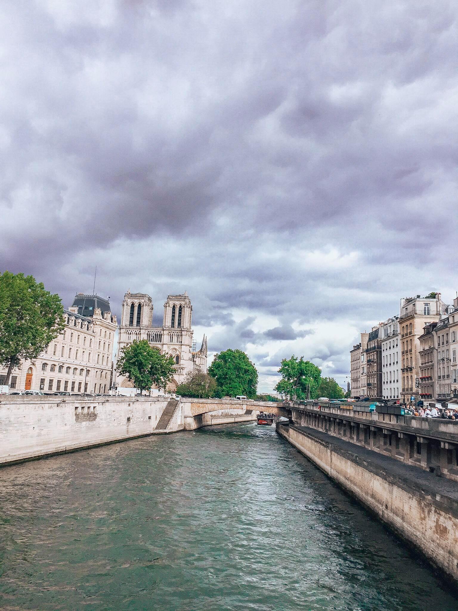 Katedra Notre Dame widoczna z mostu Saint Michel