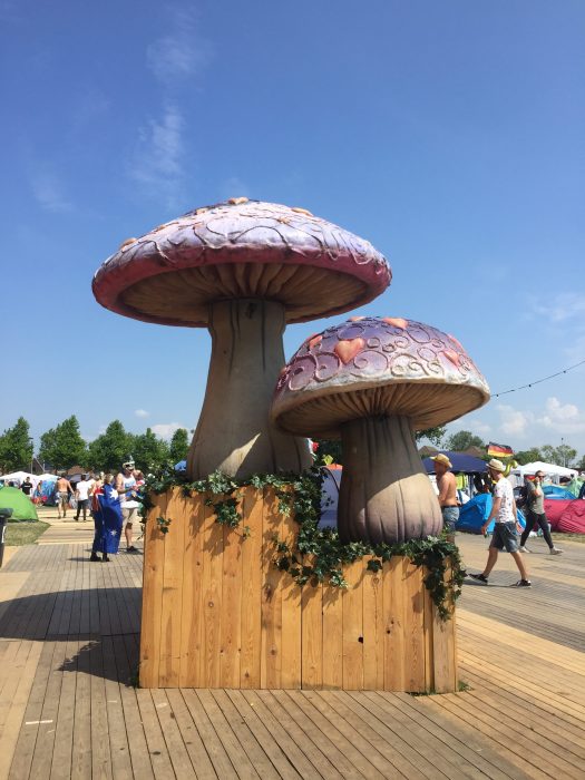 dekoracje na Tomorrowland