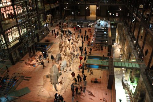 Wielka Galeria Ewolucji