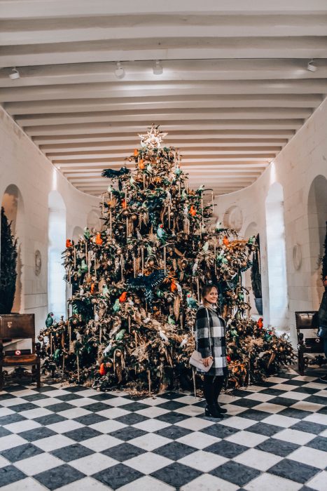 Zamki nad Loarą - Zamek Chenonceau