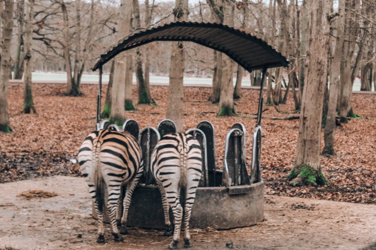 Weekend pod Paryżem