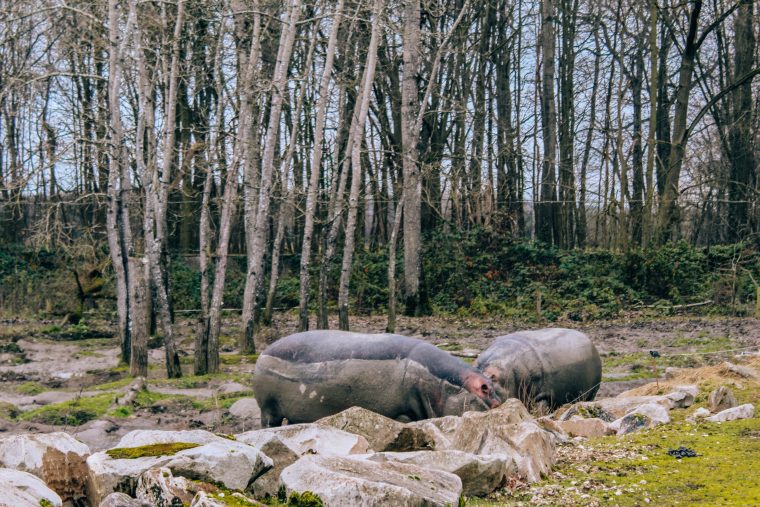 Weekend pod Paryżem