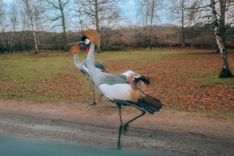 Weekend pod Paryżem