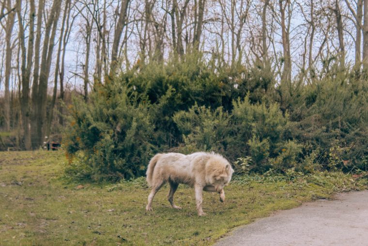 Weekend pod Paryżem