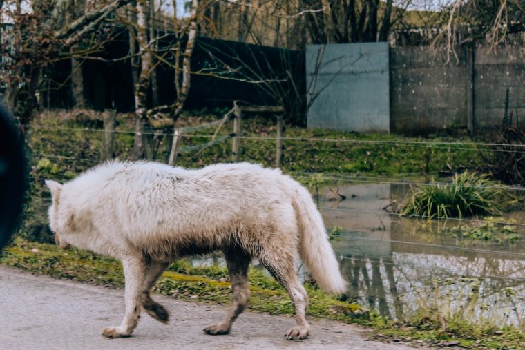 Weekend pod Paryżem