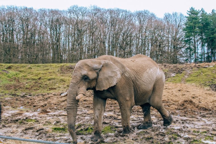 Weekend pod Paryżem