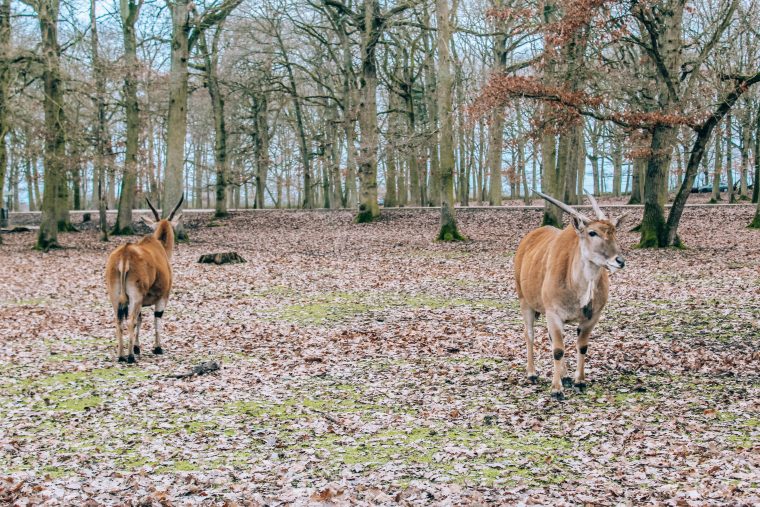 Weekend pod Paryżem