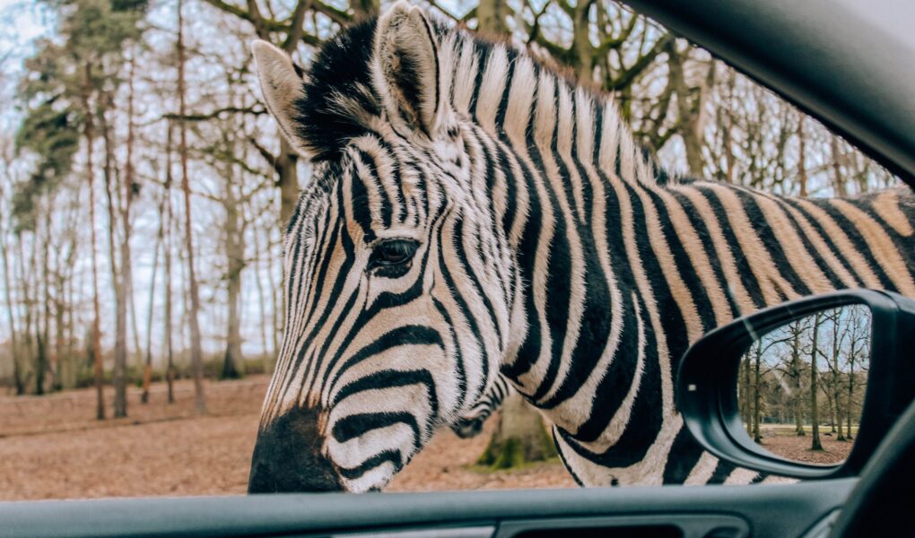 Weekend pod Paryżem