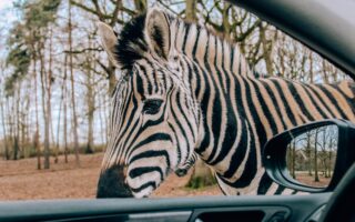 Weekend pod Paryżem