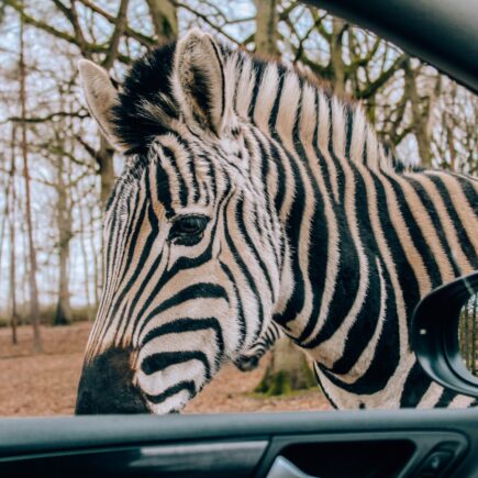 Weekend pod Paryżem