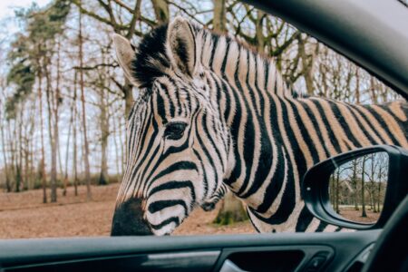 Weekend pod Paryżem