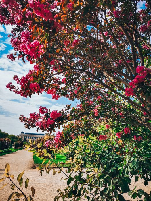 Niezapomniana majówka w Paryżu