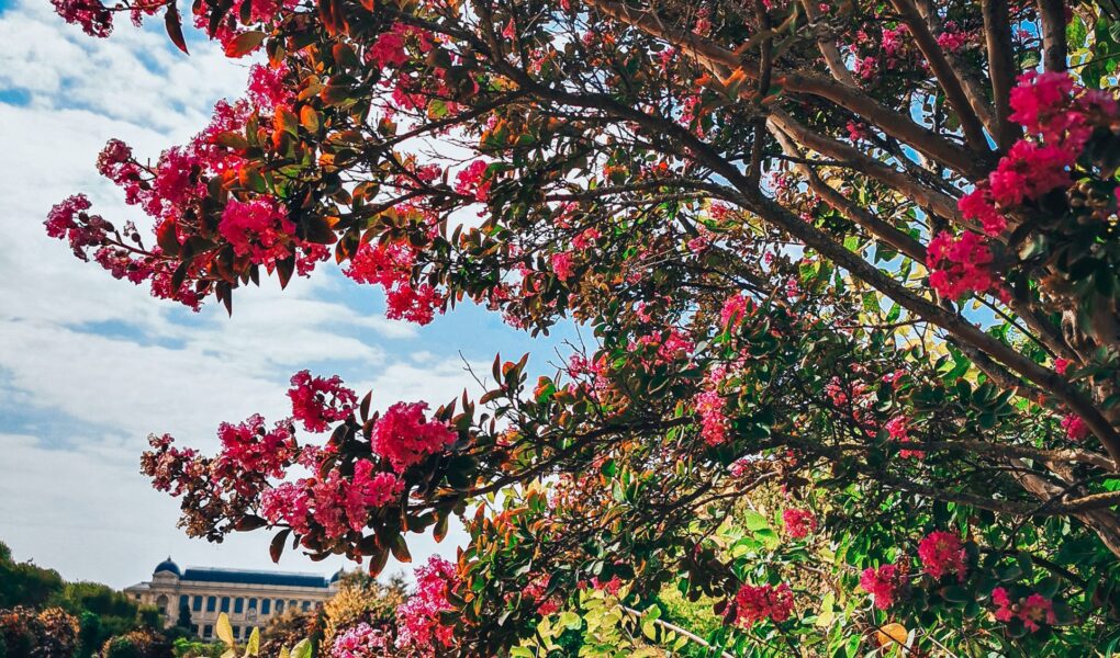 Niezapomniana majówka w Paryżu