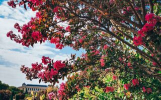 Niezapomniana majówka w Paryżu