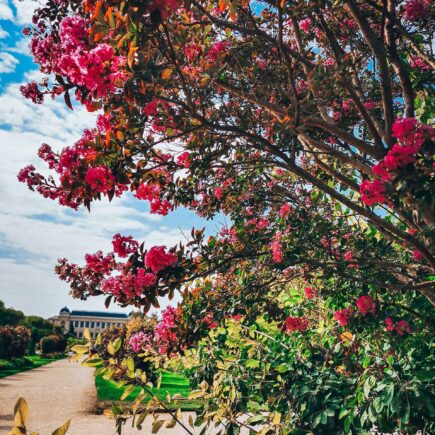 Niezapomniana majówka w Paryżu