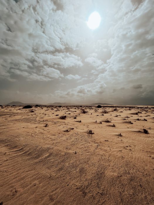 Przewodnik po Fuertaventura