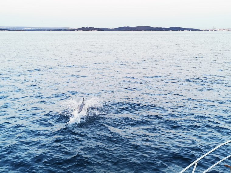 11 najlepszych miejsc do odwiedzenia w Chorwacji