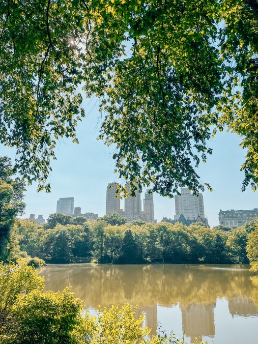 Nowy Jork - Central Park