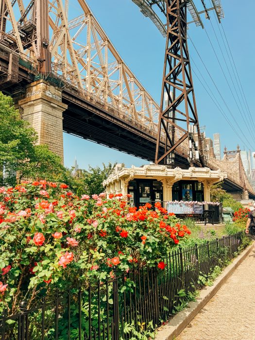 Komunikacja miejska w Nowym Jorku