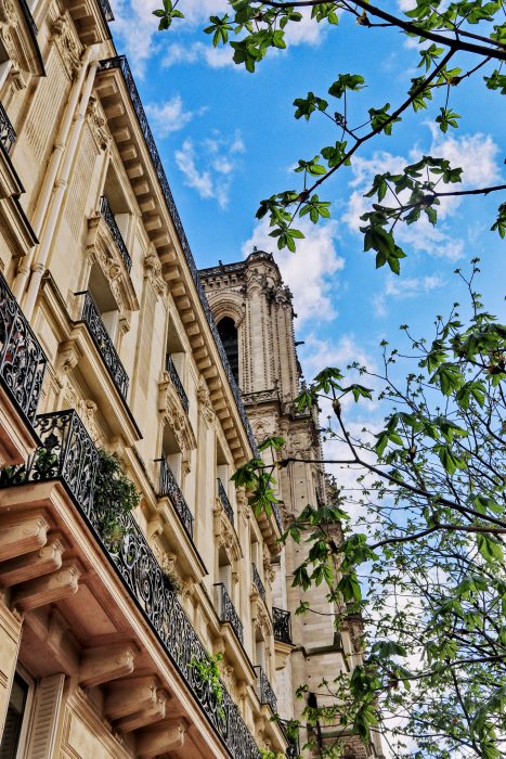 Otwarcie Katedry Notre-Dame w Paryżu