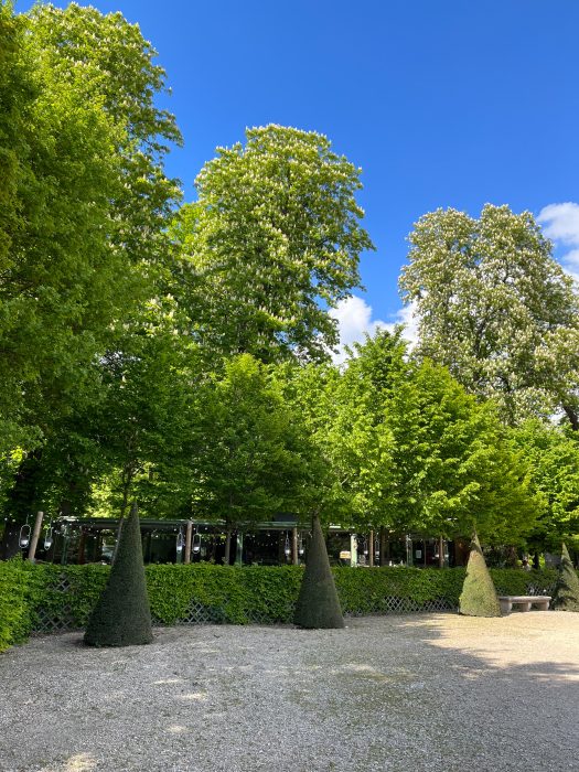 Codzienność we Francji – jak naprawdę wygląda życie na emigracji?