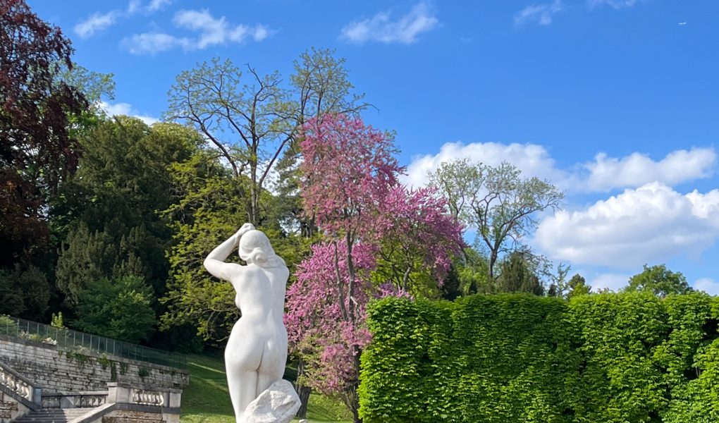 Szokujące Fakty o Życiu we Francji, Które Cię Zaskoczą!