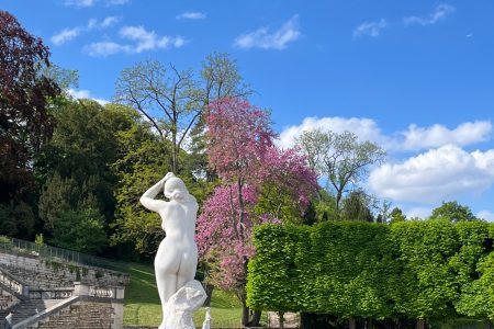 Szokujące Fakty o Życiu we Francji, Które Cię Zaskoczą!
